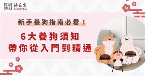 室內養狗注意事項|新手養狗入門指南 新手毛爸媽必知的12件事！養狗懶人包特輯～